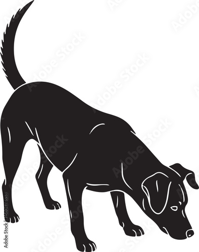 Silhouette of a dog sniffing the ground, profile view