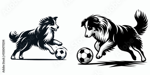 Australian Shepherd Dog fullbody shot play soccer. Cartoon Clipart Silhouette Vector Illustration Coffee Line Art Illustration. Canine athlete shepherd entire figure kick ball game.