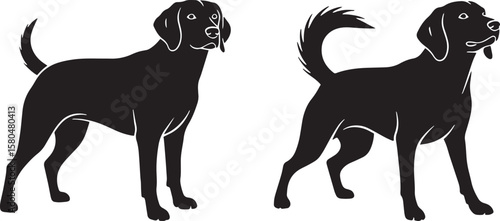 Two black dog silhouettes standing, one with tail up, the other looking