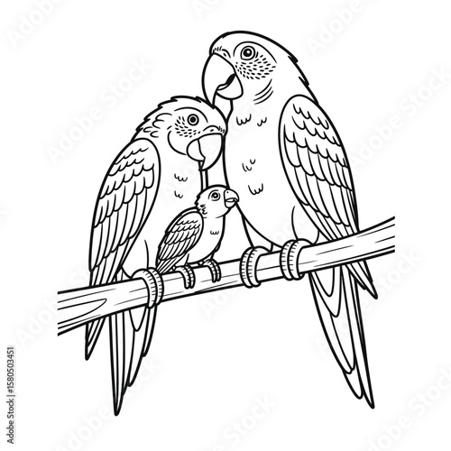 Parrot parents feeding chick on tree branch black and white vector illustration