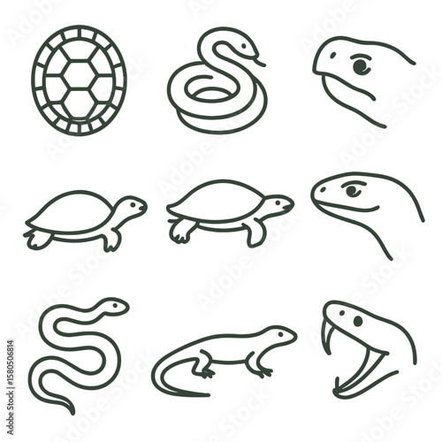 Freshwater Reptile Icons. Line style icons of Freshwater Reptiles: turtle shell, water snake coil, snapping turtle head, slider