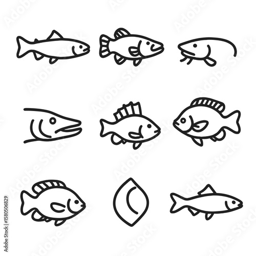 Freshwater Fish Icons. Line style icons of Freshwater Fish Species: trout silhouette, bass profile, catfish barbels, pike head,