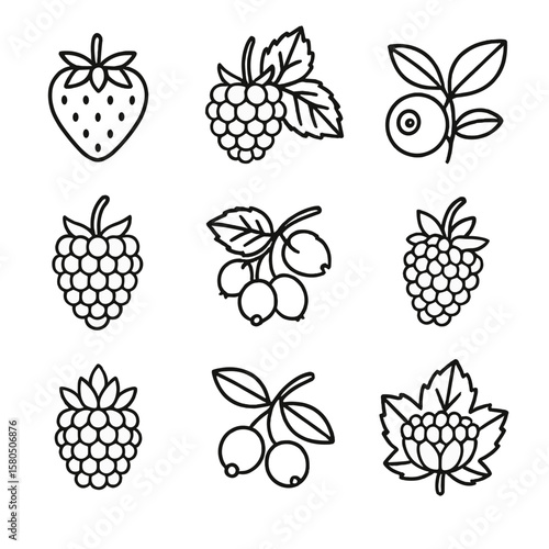Woodland Berry Icons. Line style icons of Woodland Berry Medley: wild strawberry, wild raspberry, wild blueberry, wild blackberry,