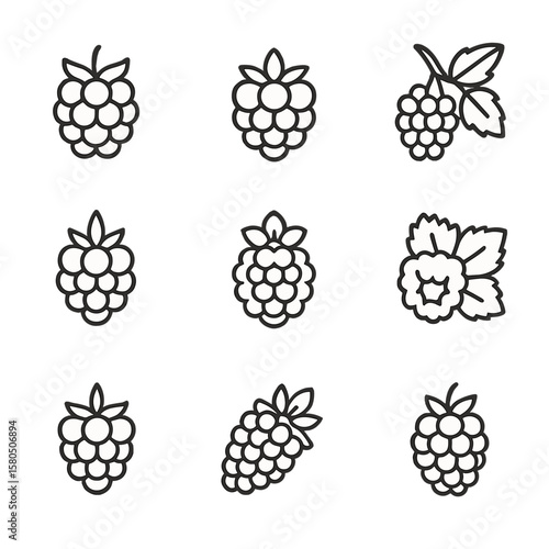 Thicket Berry Icons. Line style icons of Thicket Berry Blend: blackberry, raspberry, dewberry, wineberry, salmonberry,