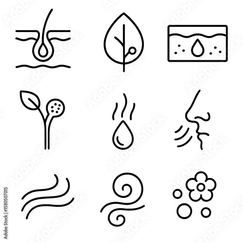 Floral Scent Icons. Outline style icons of Floral Scent & Oil Features: oil gland, scent pore, aromatic resin canal, glandular