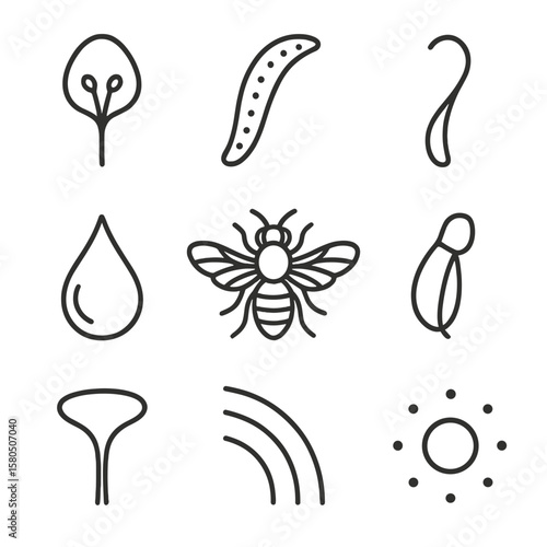 Nectar and Pollination Icons. Outline style icons of Nectar & Pollination Structures: nectar gland, nectary ridge, spur tube,