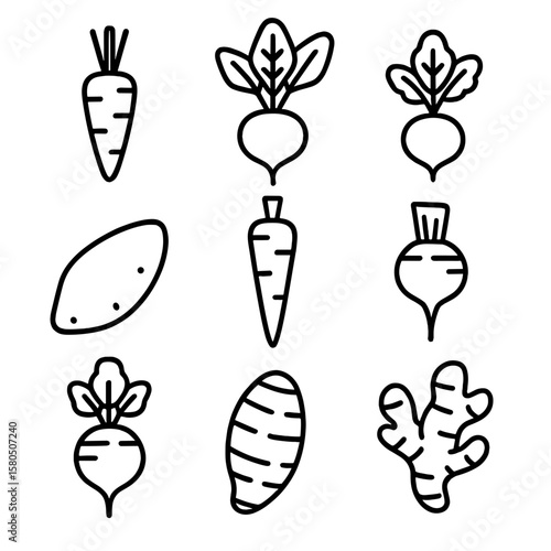 Root Vegetable Icons. Outline style icons of Organic Root Vegetables: carrot silhouette, beet silhouette, radish silhouette,