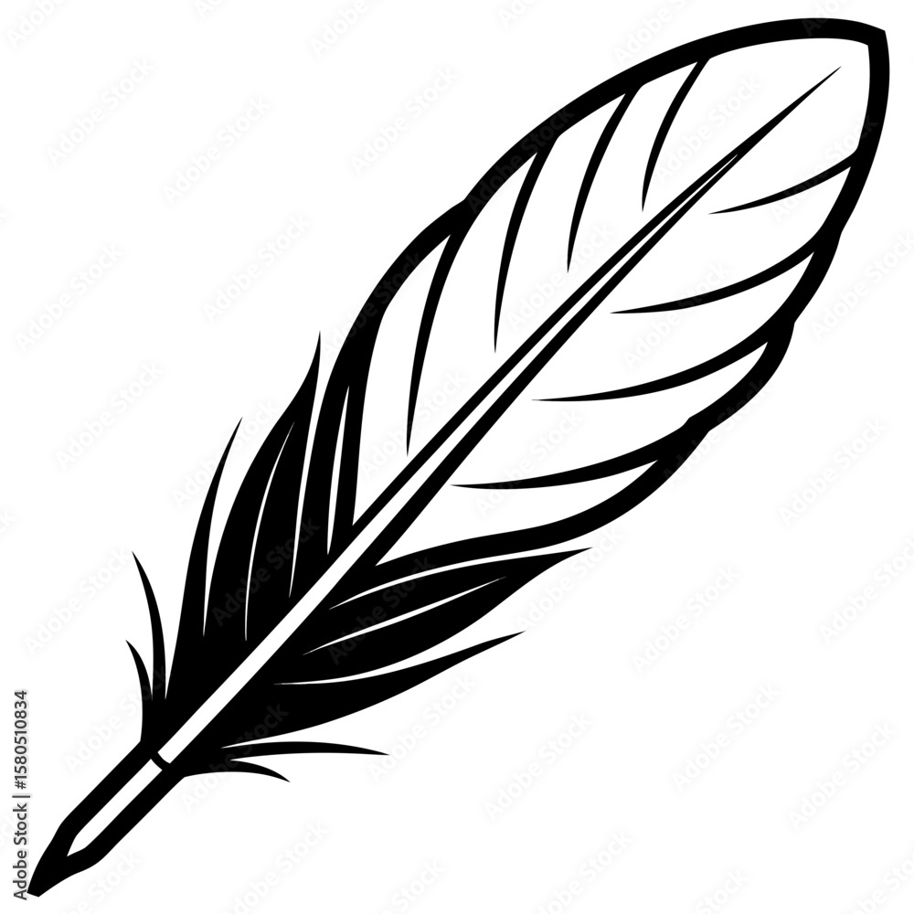 Fototapeta premium A detailed black and white feather silhouette with fine lines