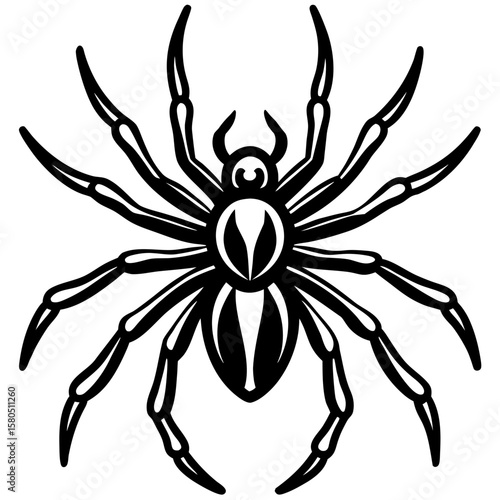 Detailed black and white spider illustration with multiple legs and body markings silhouette