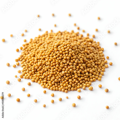Yellow mustard seeds are mild, slightly pungent spices used in pickling, cooking
