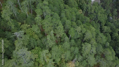 Aerial footage ofa waterfall in rocky green forests high at the mountains