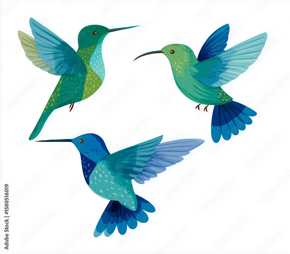 Obraz premium Three hummingbirds, vector illustration, flat design, white background