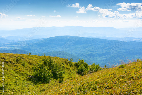 transcarpathia mountain landscape in summer. beautiful view of rolling green hills and alpine meadows in evening light. scenery with clouds on the blue sky. scenic nature background for travel