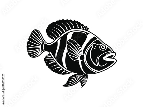 Stylish black and white illustration of a tilapia fish aquatic animal design
