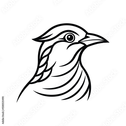 a lark bird head line art silhouette vector illustration on white background