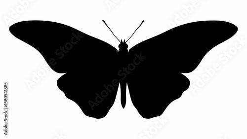 Silhouette of a butterfly with wide wings and antennae displayed against a white background image here