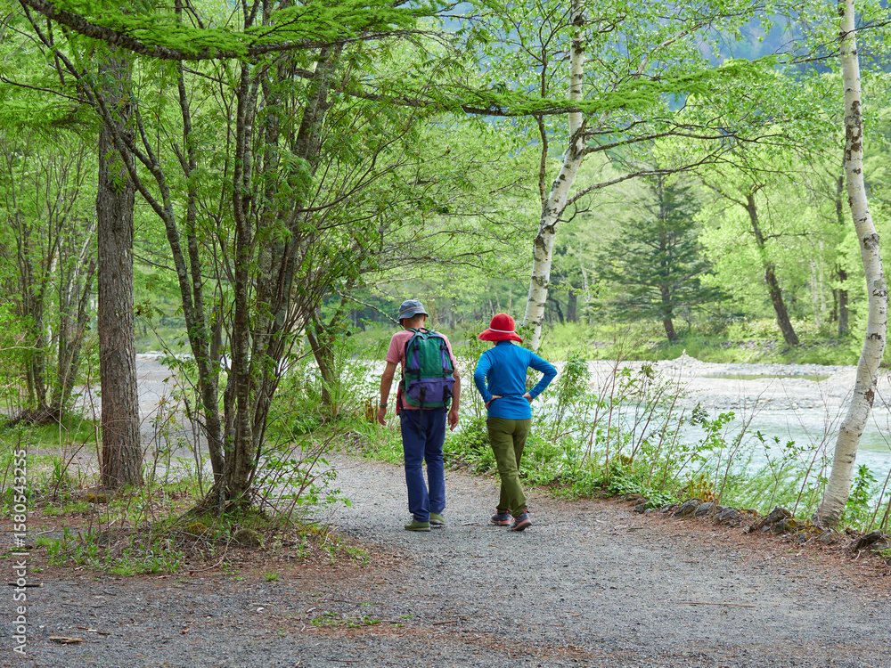 Obraz premium 夏の観光名所上高地の森の散策道でハイキングする男女観光客の姿