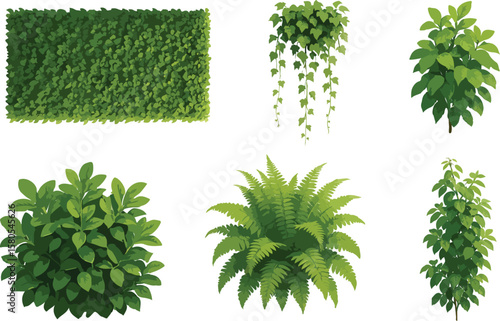 Collection of lush green plants and foliage elements isolated on white background for design