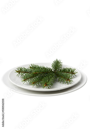 Isolated White Plates with Green Fir Twig for Christmas Decorations