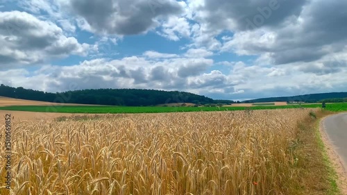 Rural Area with Wheat Fields and Active Cycling Trail Near Lake Pfordter See, in the Vicinity of the Town of Schlitz, Hessen Region
