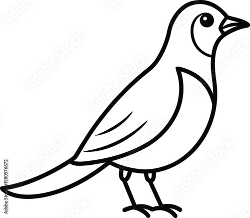 A lark bird line art vector illustration.