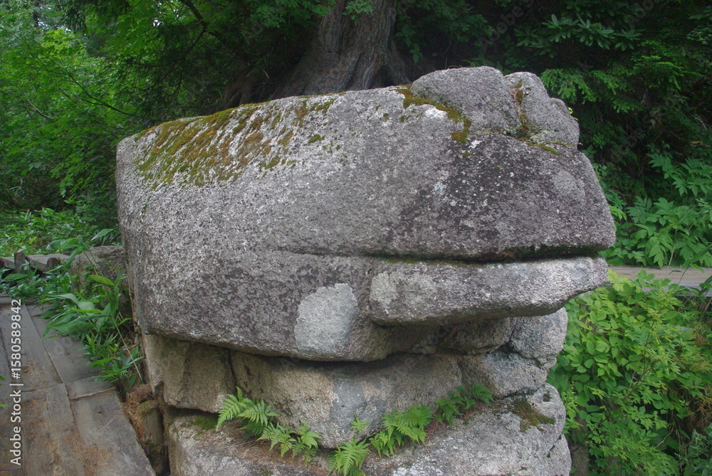 カエルのような岩 カエルのような岩