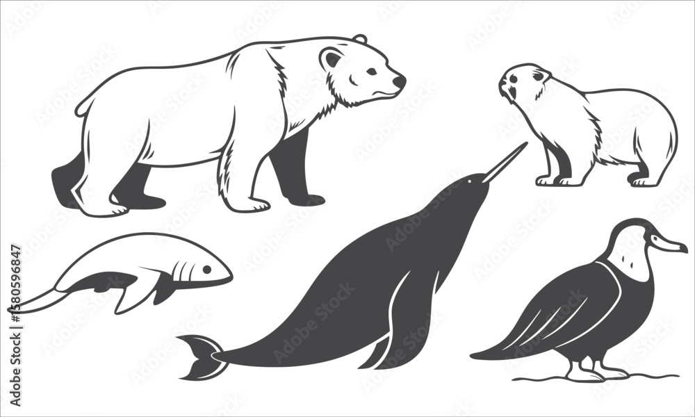 Obraz premium Polar bear narwhal seal bird fish vector