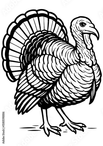 Realistic black and white vector turkey standing and looking, perfect for Thanksgiving engraving, prints, laser cut, coloring books, and tattoos