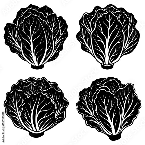 Four black and white stylized heads of cabbage with detailed leaf venation and round bases are shown