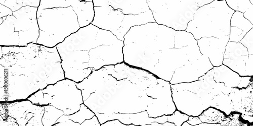 high contrast image featuring a white surface  with black cracks,  creating an abstract and distressed background look	 with textured regions concentrated towards the bottom.