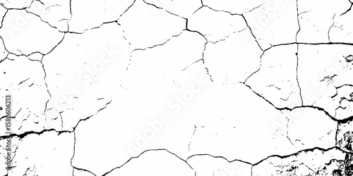 high contrast image featuring a white surface  with black cracks,  creating an abstract and distressed background look	 with textured regions concentrated towards the bottom.