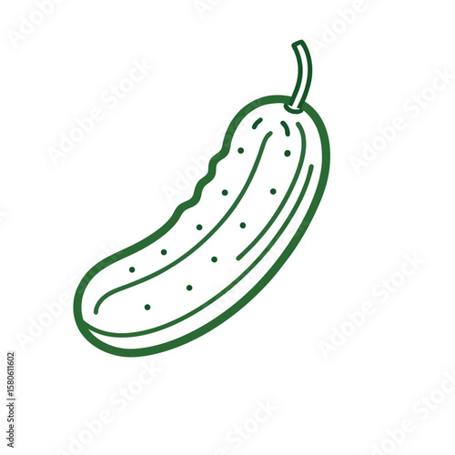 vector illustration of a cucumber