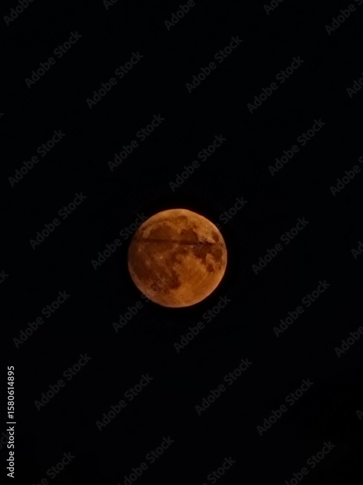 Obraz premium Moon Behind Silhouetted Power Lines