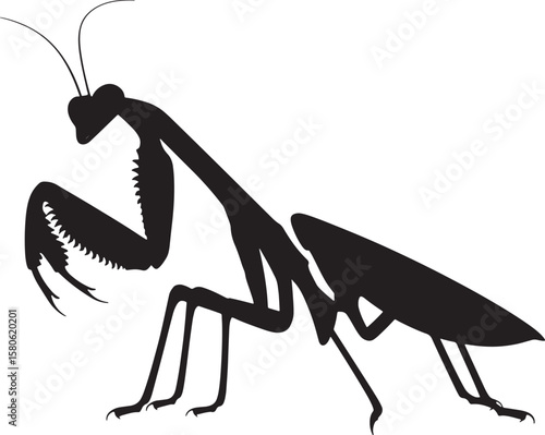 mantis silhouette line art design illustration premium quality