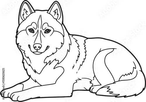 Black and white outline illustration of a resting siberian husky dog on white background