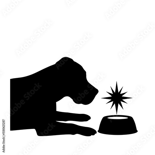 Silhouette of senior dog resting near dish, graceful aging and comfort care