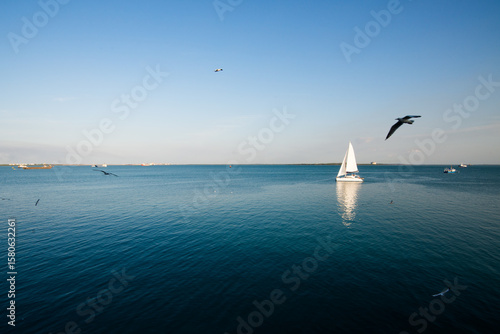 A yacht sailing on calm blue sea with birds flying 2
