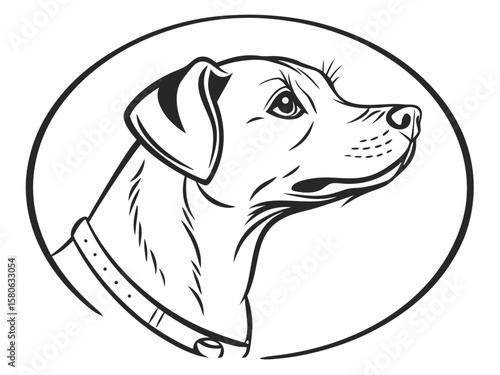 vector illustration of a dog