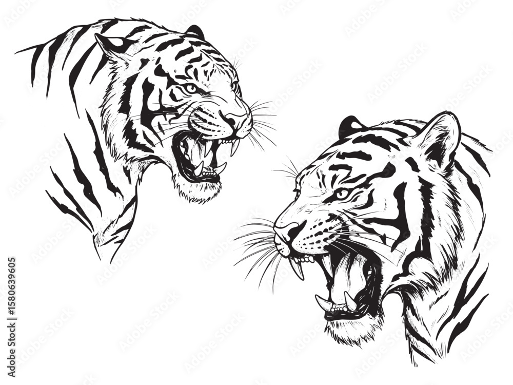 Fototapeta premium Engraved fierce tiger mid-roar with detailed stripes and sharp teeth in bold vintage linework