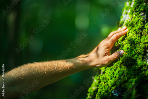 A man's hand touch the tree trunk close-up. Bark wood.Caring for the environment. The ecology concept of saving the world and love nature by human