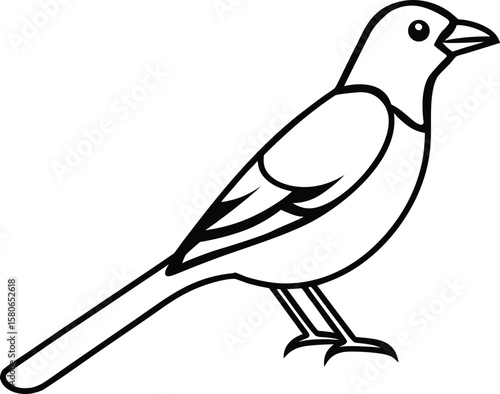 An oriole bird line art vector illustration.