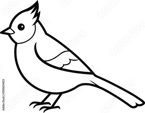 A titmouse bird line art vector illustration.