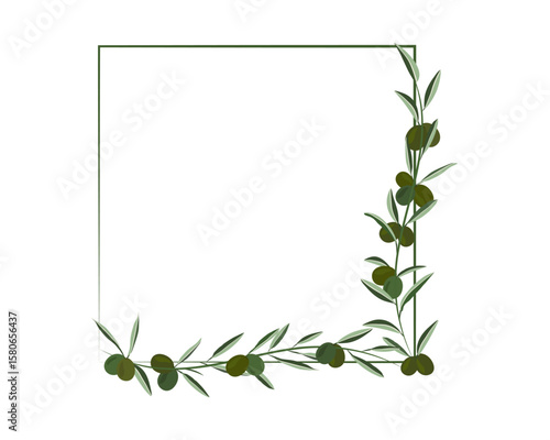 green olive creeping on square shape frame background