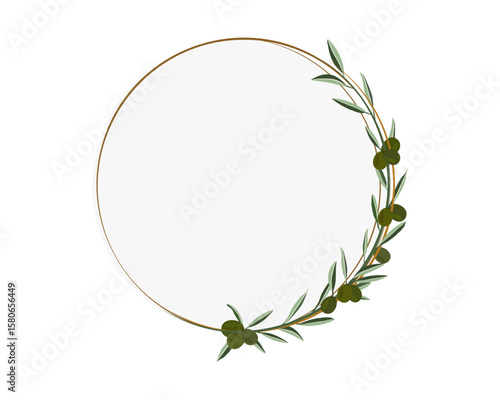 green olive creeping on circle shape frame background