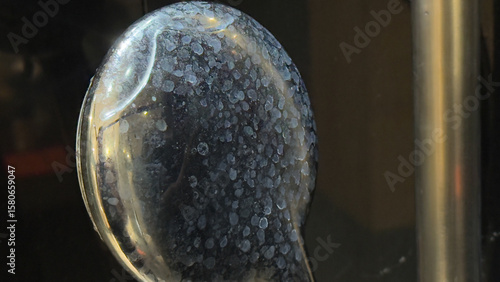 Close-up of a shower head covered in hard water limescale deposits needing to be cleaned