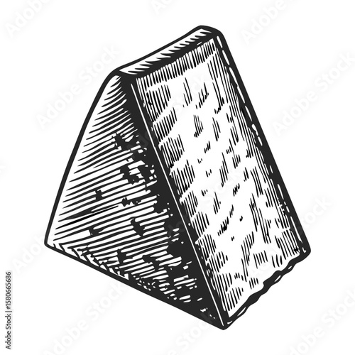 Parmigiano-reggiano wedge depicted in sketch style on white background. Parmigiano-reggiano wedge, a hard granular cheese, is perfect on a cheese board.