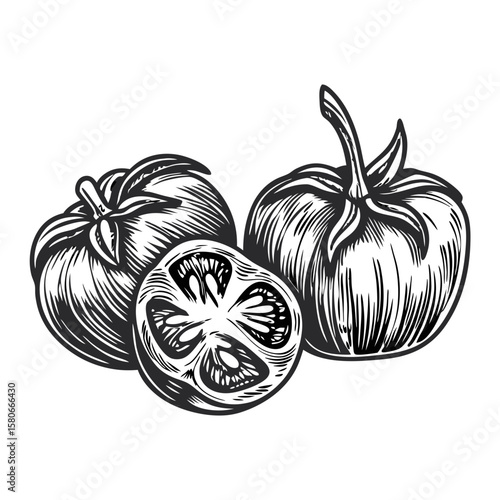 Sun-dried tomatoes in oil drawing with detailed etching, representing delicious preserved produce. Sun-dried tomatoes show preparation and artisanal canning techniques, highlighting food preservation.