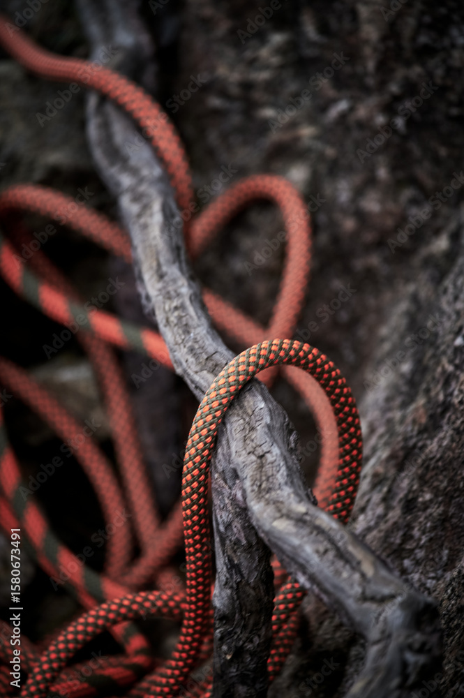 Obraz premium orange climbing rope