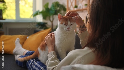 Wallpaper Mural Woman petting a relaxed cat on cozy sofa at home Torontodigital.ca