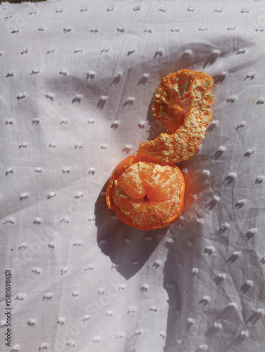 Fruit still image